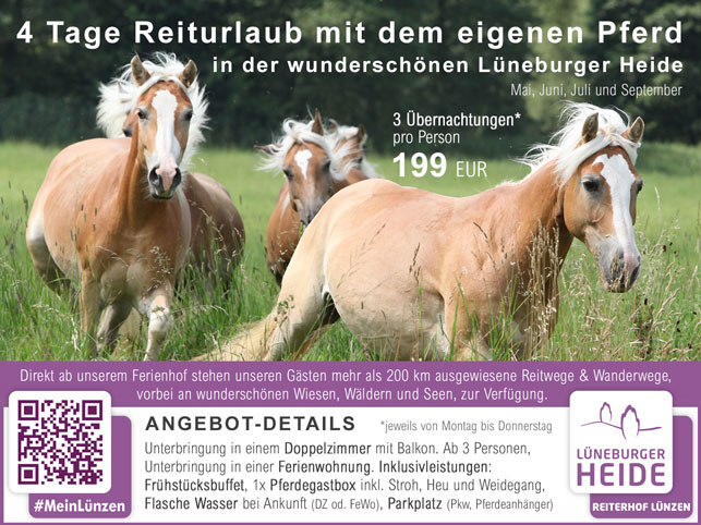 4 Tage Reiturlaub mit dem eigenen Pferd in der Lüneburger Heide