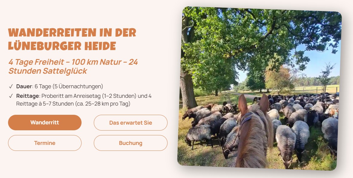 Wanderreiten in der Lüneburger Heide