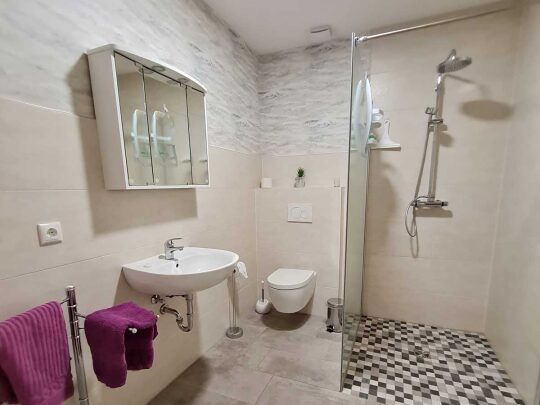 Badezimmer Ferienwohnung Heidetraum | Unterbringung | Ferienhof & Reiterhof Lünzen