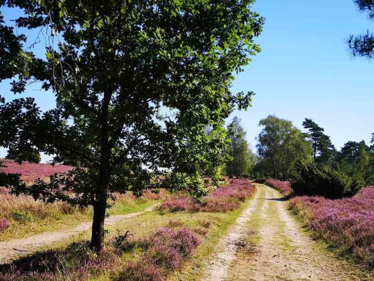 200 km Reitwege und Wanderwege | Ferienhof & Reiterhof Lünzen
