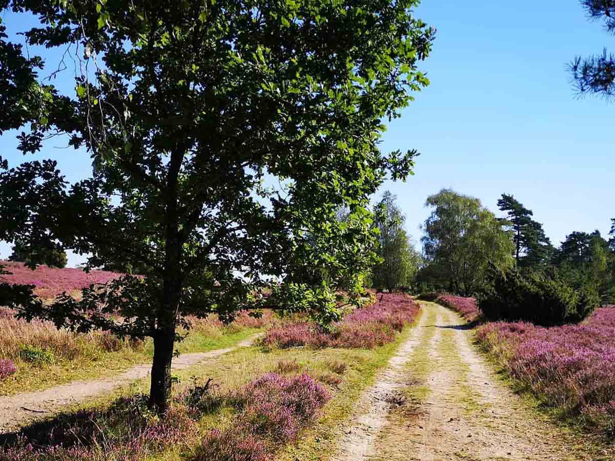 200 km Reitwege und Wanderwege | Ferienhof & Reiterhof Lünzen