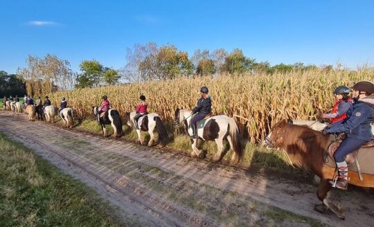 Geländereiten Lüneburger Heide | Reiterferien | Ferienhof & Reiterhof Lünzen