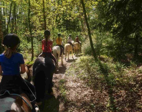 Reiten in Lünzen in der Lüneburger Heide | Reiterferien | Ferienhof & Reiterhof Lünzen