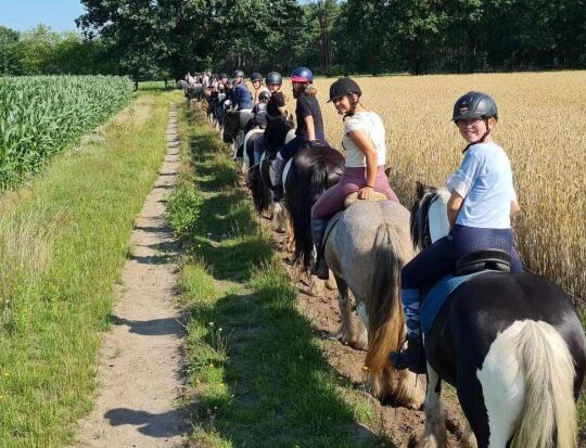 Ausreiten in der Gruppe | Lüneburger Heide | Reiterferien | Ferienhof & Reiterhof Lünzen