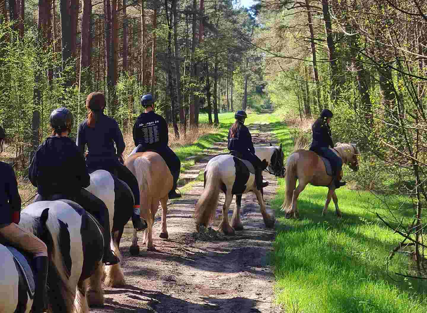 Reiten durch Wälder in der Lüneburger Heide | Reiterferien | Ferienhof & Reiterhof Lünzen