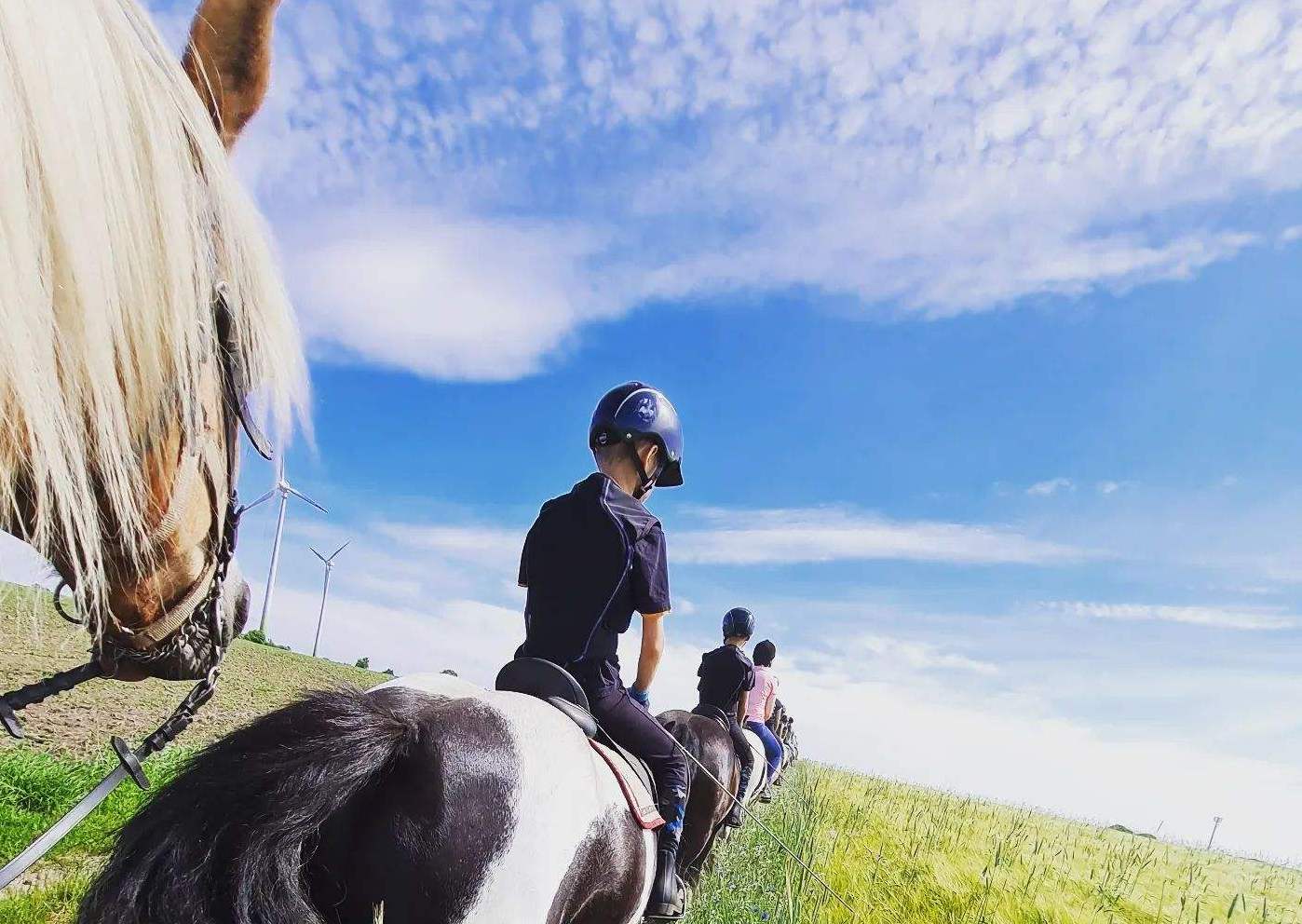 Mit Tinkern und Haflingern reiten | Reiterferien | Ferienhof & Reiterhof Lünzen