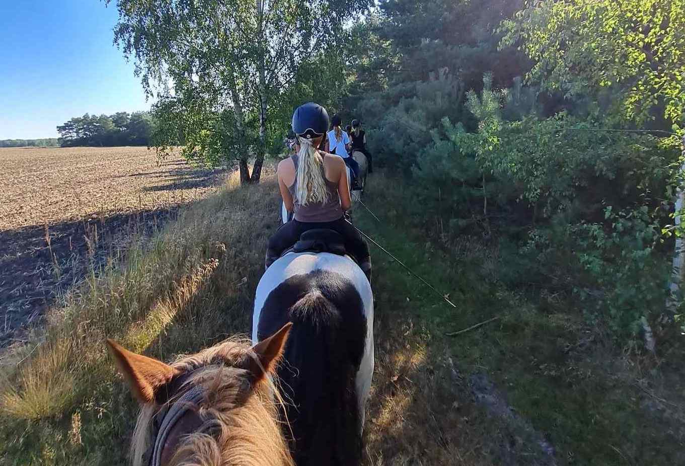 Gruppenausritt Lüneburger Heide | Reiterferien | Ferienhof & Reiterhof Lünzen