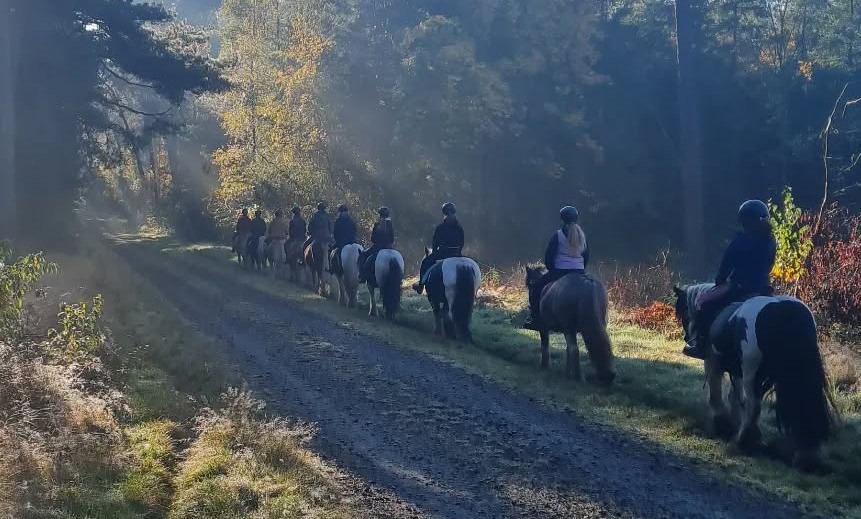 Geländereiten Lüneburger Heide | Reiterferien | Ferienhof & Reiterhof Lünzen