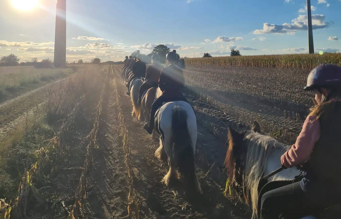 200 km Reitwege | Lüneburger Heide | Reiterferien | Ferienhof & Reiterhof Lünzen