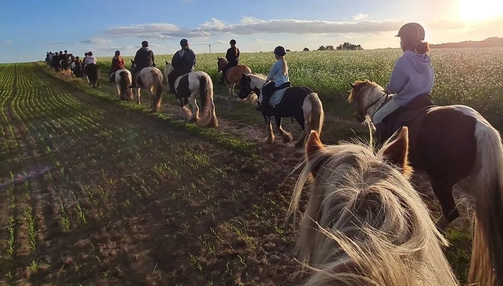 Reiten auf Tinkern und Haflingern | Reiterferien | Ferienhof & Reiterhof Lünzen