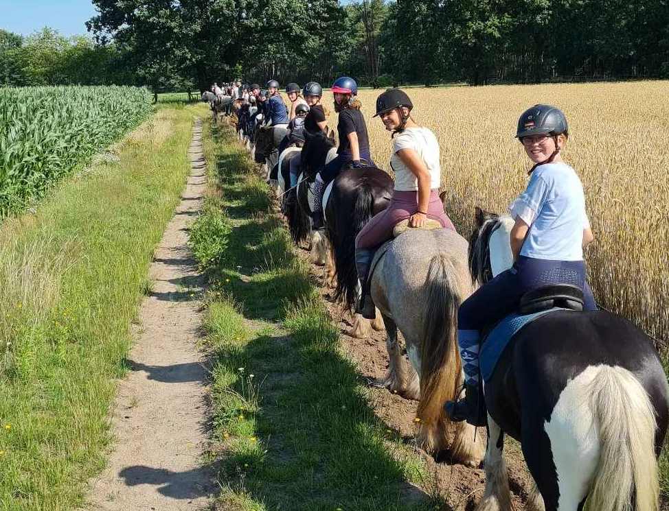 Ausreiten in der Gruppe | Lüneburger Heide | Reiterferien | Ferienhof & Reiterhof Lünzen