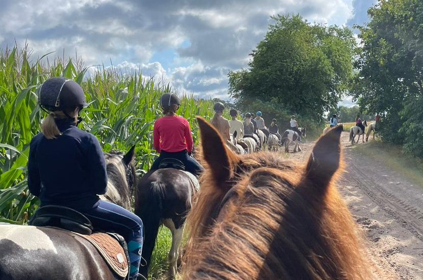 Reiten für Kids in der Lüneburger Heide | Reiterferien | Ferienhof & Reiterhof Lünzen