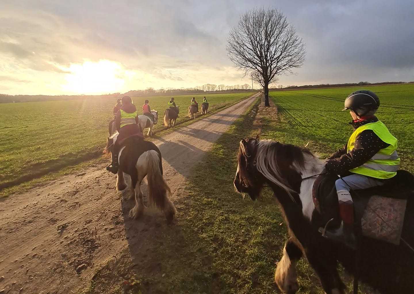 Reiten in der wunderschönen Lüneburger Heide | Reiterferien | Ferienhof & Reiterhof Lünzen