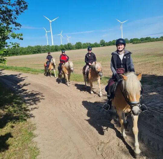 Wanderreiten in der Lüneburger Heide | Reiturlaub | Ferienhof & Reiterhof Lünzen