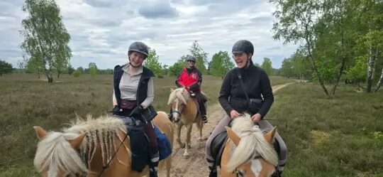 Wanderreiten in der LüneburgerHeide | Reiturlaub | Ferienhof & Reiterhof Lünzen