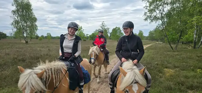 Wanderreiten in der LüneburgerHeide | Reiturlaub | Ferienhof & Reiterhof Lünzen