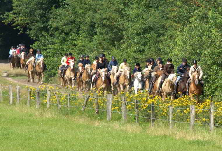 Geführte Ausritte durch die Lüneburger Heide