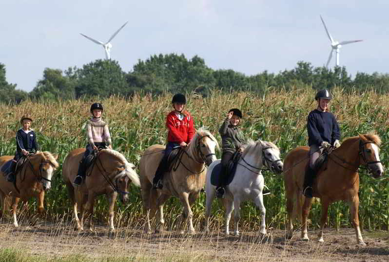 Geführte Ausritte durch die Lüneburger Heide
