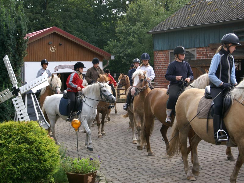 Galerie Reiterhof Lünzen Impressionen Momentaufnahmen