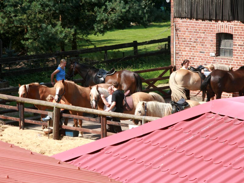 Galerie Reiterhof Lünzen Impressionen Momentaufnahmen
